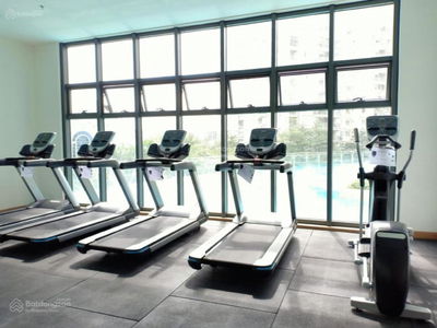 Topaz Twins, Vietnam Topaz Twins, Vietnam