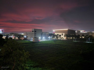 The Canary, Vietnam The Canary, Vietnam