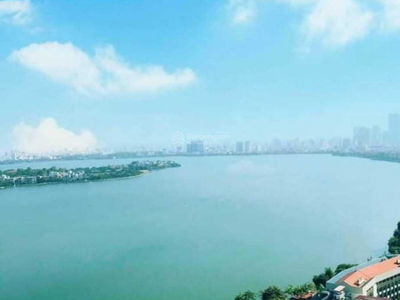 D'. El Dorado, Vietnam D'. El Dorado, Vietnam