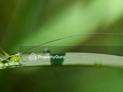 Alila2, Malaysia Alila2, Malaysia