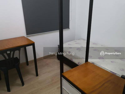 The Olive, Malaysia The Olive, Malaysia