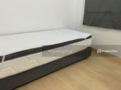 The Olive, Malaysia The Olive, Malaysia