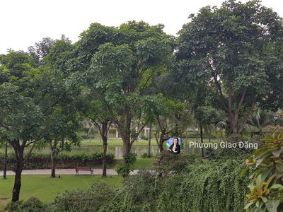 Sadora Sala, Vietnam Sadora Sala, Vietnam