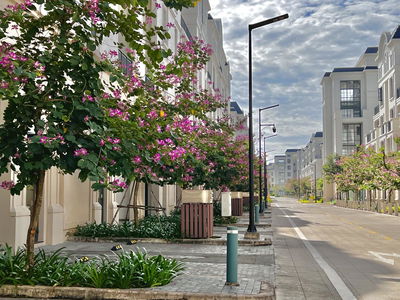 Swan Bay, Vietnam Swan Bay, Vietnam