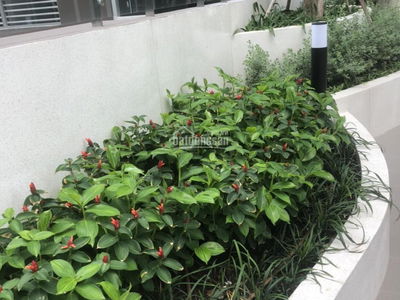 Lavita Charm, Vietnam Lavita Charm, Vietnam