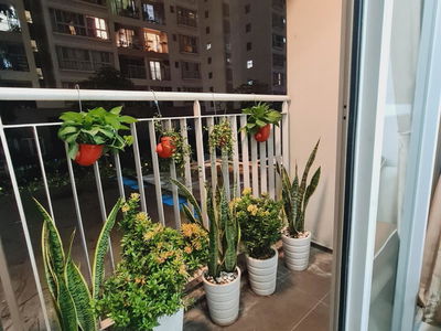 Scenic Valley 1, Vietnam Scenic Valley 1, Vietnam