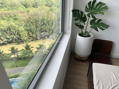 Thủ Thiêm Dragon, Vietnam Thủ Thiêm Dragon, Vietnam