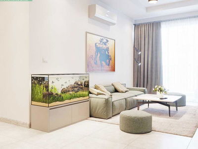 Iris Garden, Vietnam Iris Garden, Vietnam