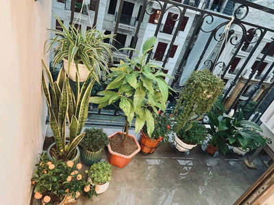 HC Golden City, Vietnam HC Golden City, Vietnam