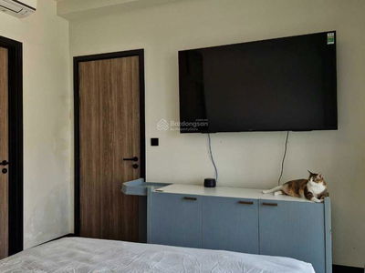 De La Sol, Vietnam De La Sol, Vietnam