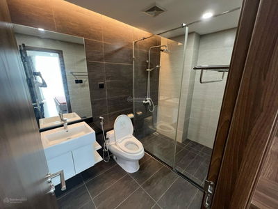 The Golden Armor, Vietnam The Golden Armor, Vietnam