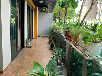 Feliz En Vista, Vietnam Feliz En Vista, Vietnam