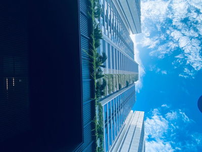 Kingdom 101, Vietnam Kingdom 101, Vietnam