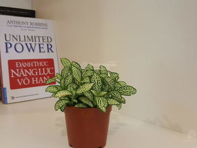 Alojamiento en Hanoi, Vietnam  Alojamiento en Hanoi, Vietnam