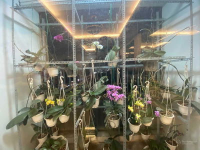 Riverside Garden, Vietnam Riverside Garden, Vietnam