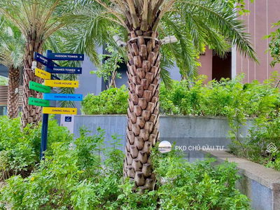 The River Thu Thiem, Vietnam The River Thu Thiem, Vietnam