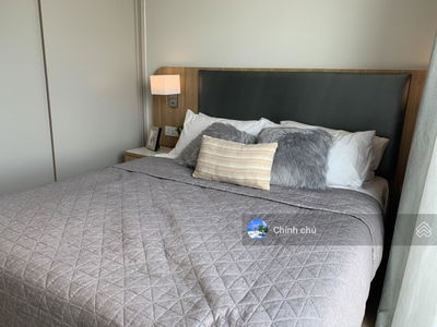 Zenity, Vietnam Zenity, Vietnam