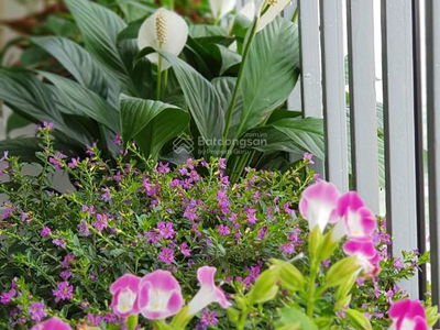 Vinhomes Gardenia, Vietnam Vinhomes Gardenia, Vietnam