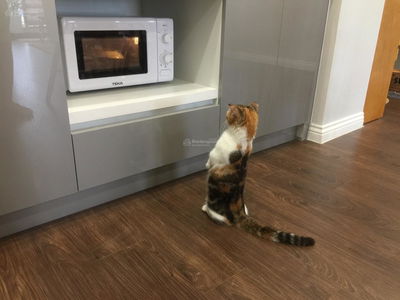 Tây Hồ Residence, Vietnam Tây Hồ Residence, Vietnam