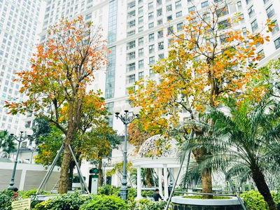 The Emerald, Vietnam The Emerald, Vietnam