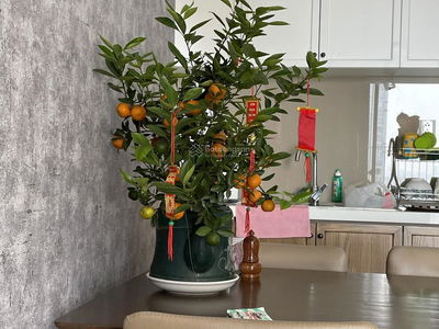 Masteri An Phú, Vietnam  Masteri An Phú, Vietnam