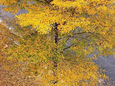 Vinhomes Green Bay Me Tri, Vietnam Vinhomes Green Bay Me Tri, Vietnam