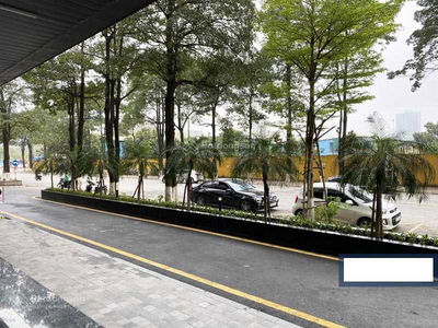 Dreamland Bonanza, Vietnam Dreamland Bonanza, Vietnam