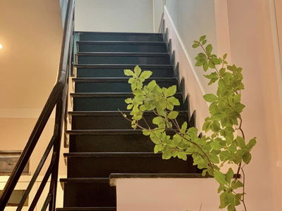 Alojamiento en Di An, Vietnam Alojamiento en Di An, Vietnam