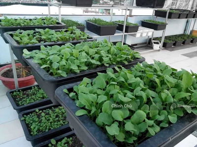 Housing in Ho Chi Minh City, Vietnam Housing in Ho Chi Minh City, Vietnam