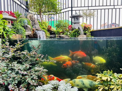 Gehäuse In Ha GJong, Vietnam Gehäuse In Ha GJong, Vietnam