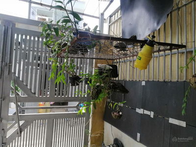 Alojamiento en Nha Be, Vietnam Alojamiento en Nha Be, Vietnam