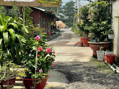 Alojamiento en Ho Chi Minh City, Vietnam Alojamiento en Ho Chi Minh City, Vietnam