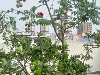 Logement dans Di An, Vietnam Logement dans Di An, Vietnam