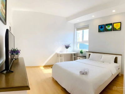 Vung Tau Melody, Vietnam Vung Tau Melody, Vietnam